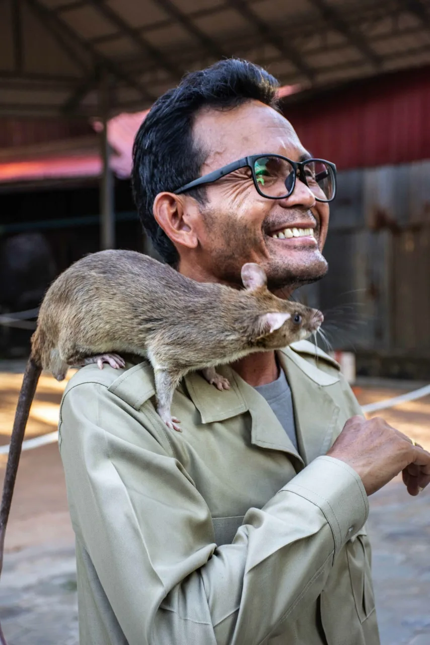 APOPO Visitor Center — Siem Reap