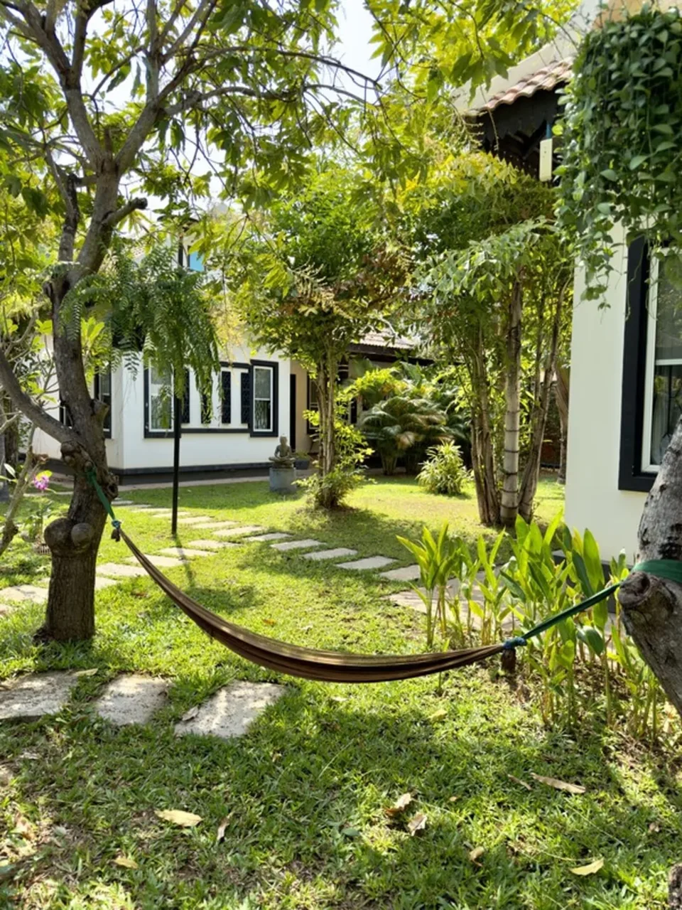 Banana Resort — espace détente au resort