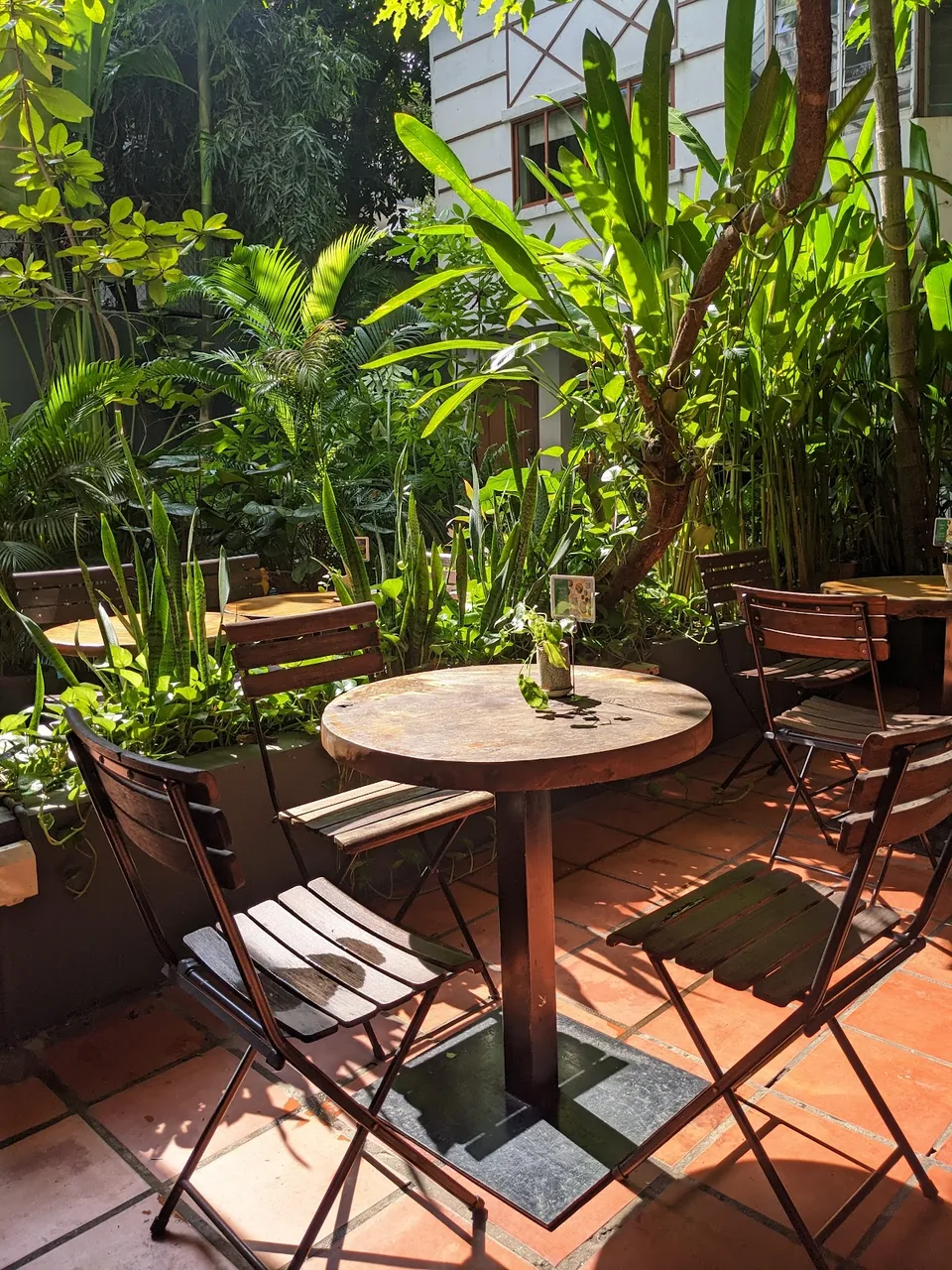 Jardin de Bong Bonlai, rue 830