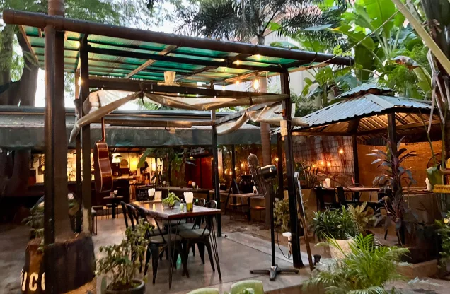 Botanico — photo
