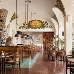 Elephant Bar — photo