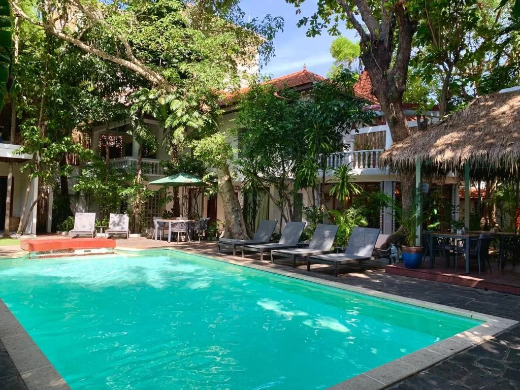 La piscine sous les arbres