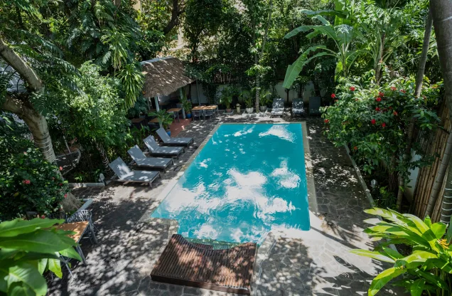 Jungle Addition Hotel — photo