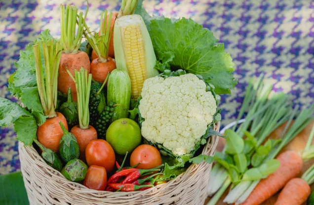 Khmer Organic Shop — fresh organic produce