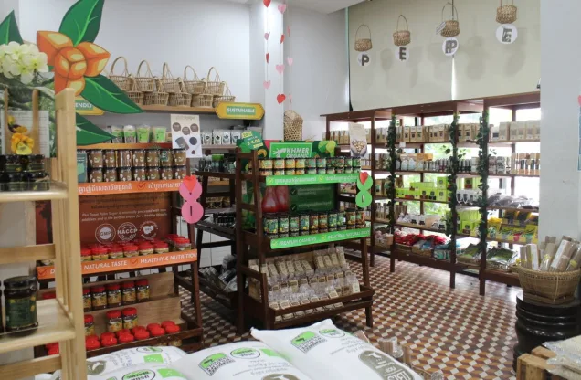 Khmer Organic Shop — grocery aisle