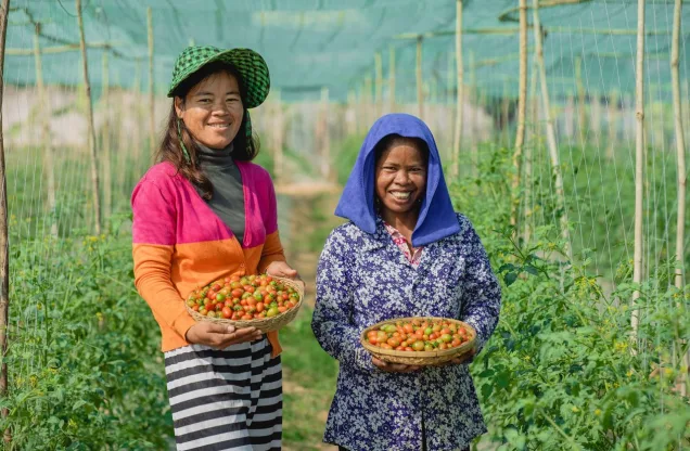 Khmer Organic Shop — Cambodian products