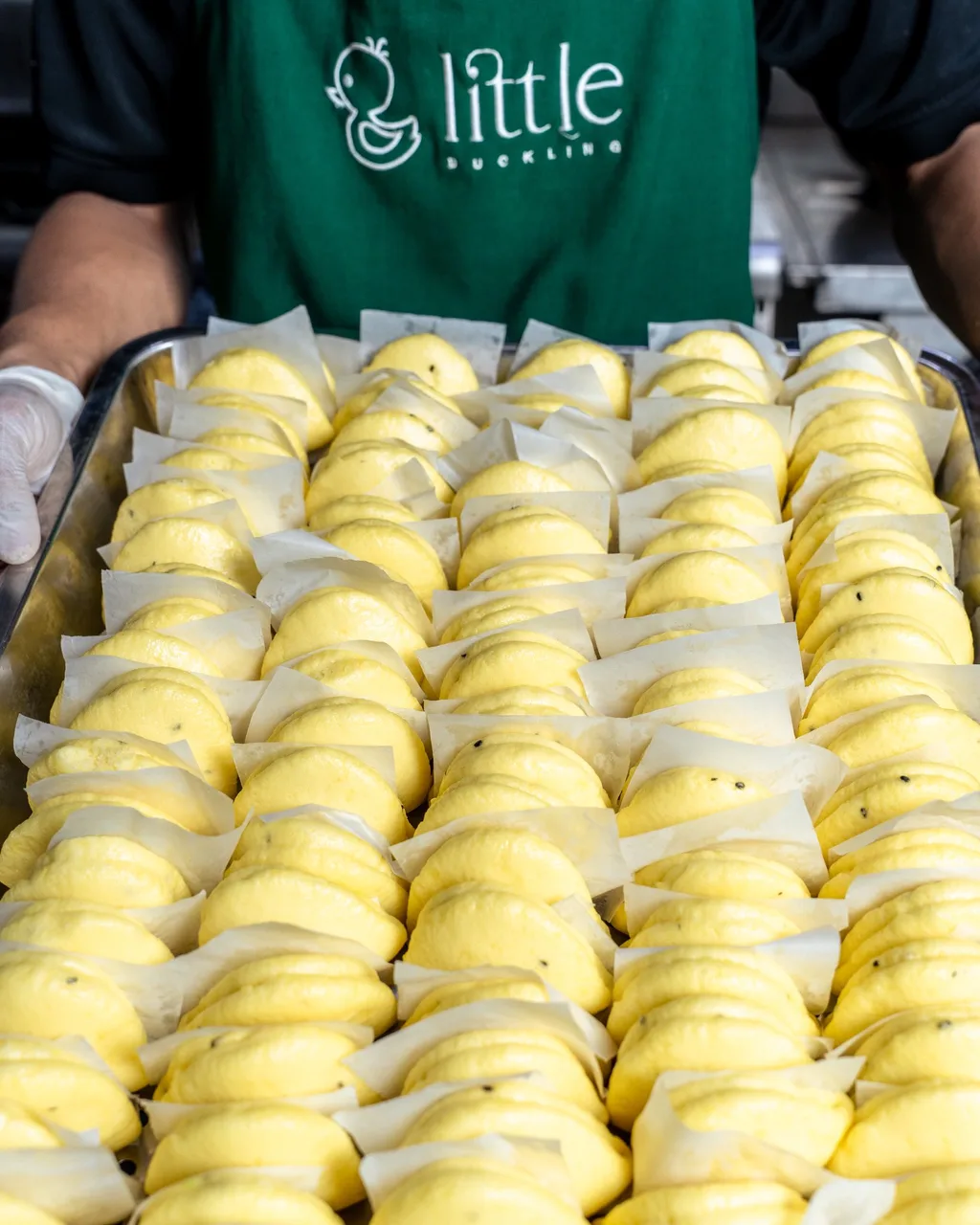Little Duckling — duck bao buns