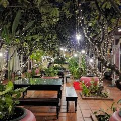 Ngon Restaurant — photo