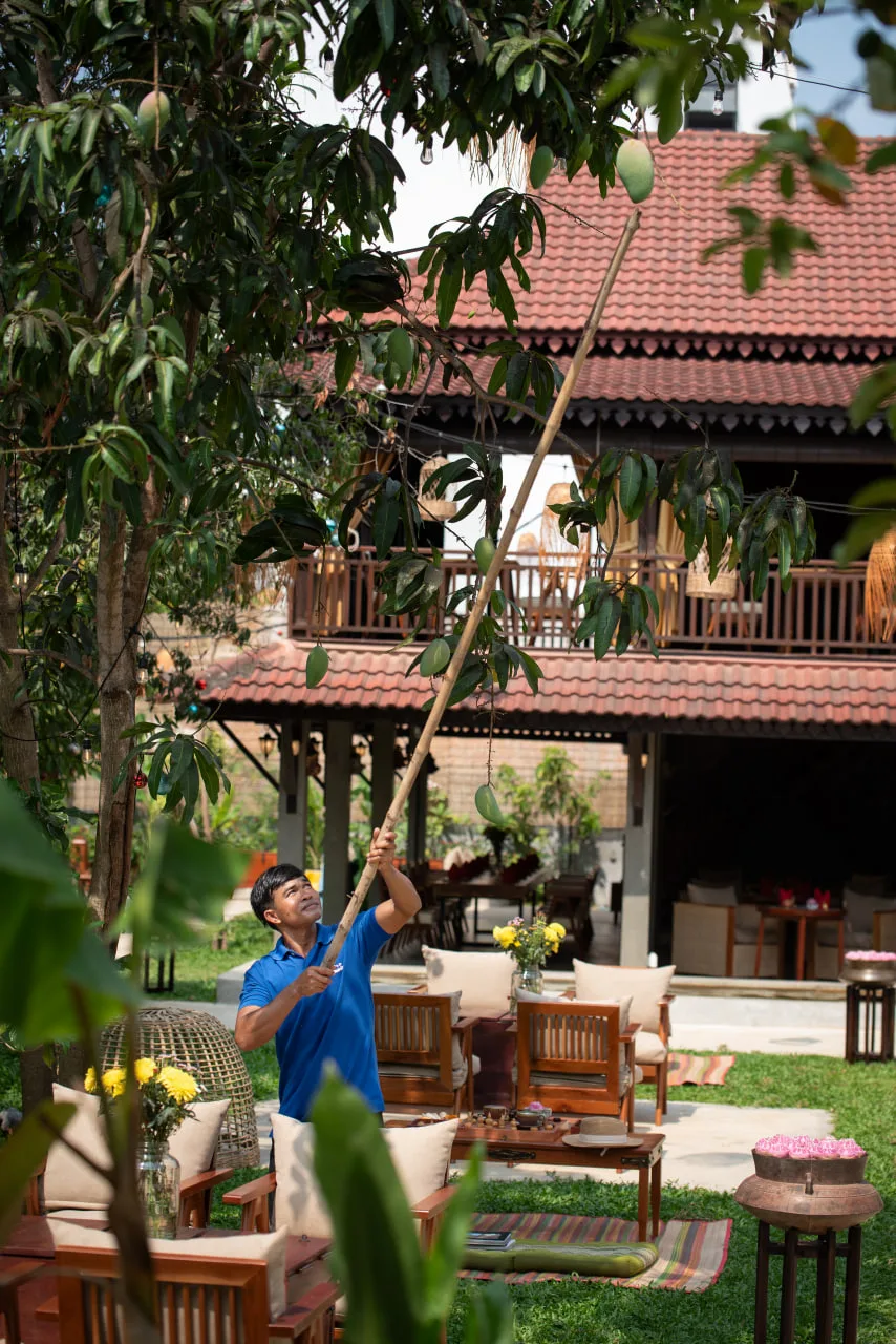 The Community – Siem Reap — photo 4