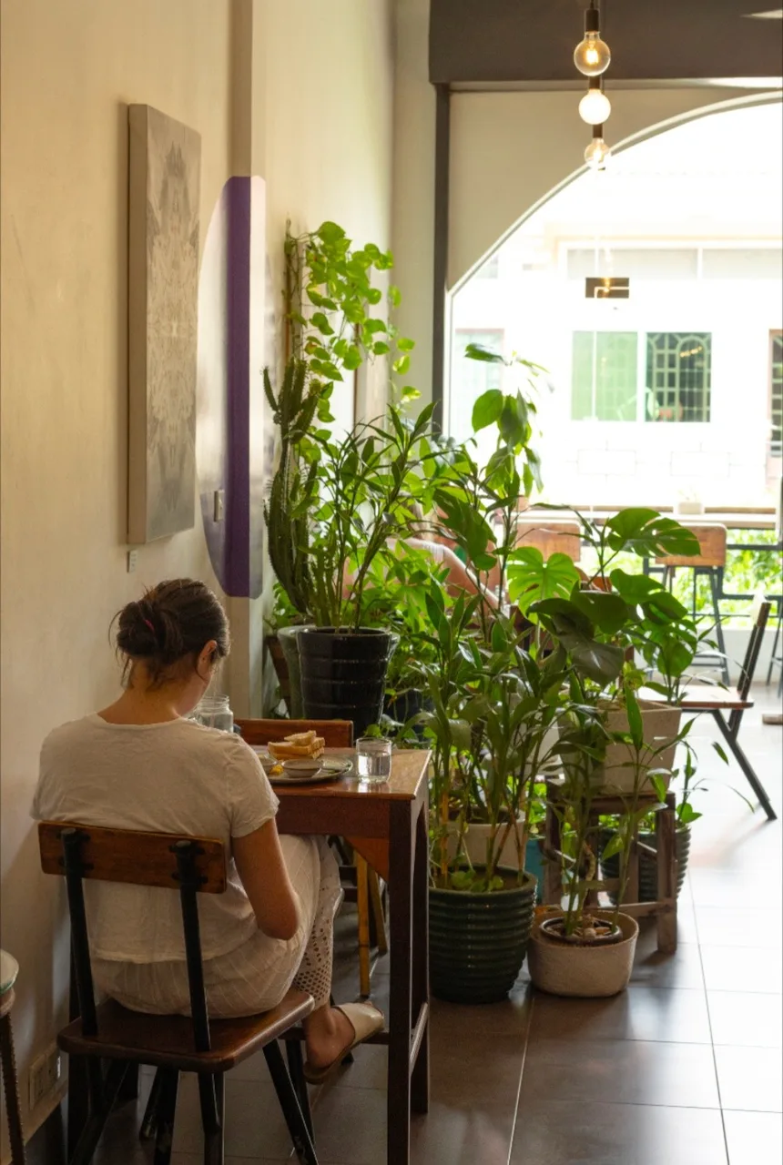 The Little Red Fox — ambiance café specialty